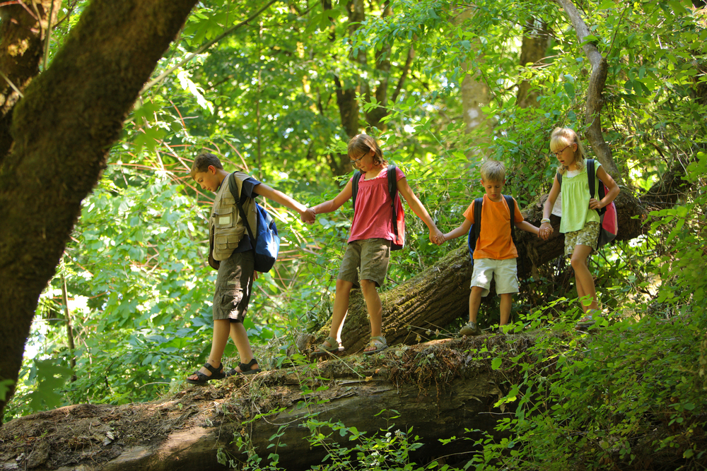 Aspectos positivos de la naturaleza en los niños