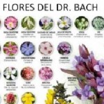 Curso de Terapeuta Floral Bach  en Parque Chas, Ciudad A. de Buenos Aires