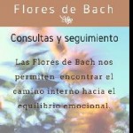 Flores de Bach- Encuentros individuales en San Nicolás, Ciudad A. de Buenos Aires