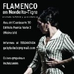 Flamenco en nordelta tigre en Zárate, Pcia. Buenos Aires (GBA Norte)