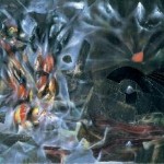 Profesor zona barracas en Barracas, Ciudad A. de Buenos Aires