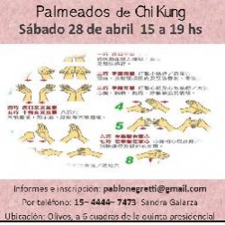 Palmeados de Chi Kung en Vicente Lopez, Pcia. Buenos Aires (GBA Norte)