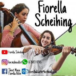 CLASES PARTICULARES DE VIOLÍN/CELLO en Vicente Lopez, Pcia. Buenos Aires (GBA Norte)