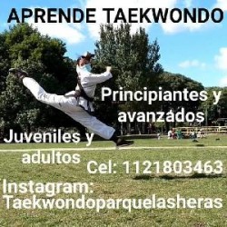 Entrenamiento Clases de Taekwondo  en Palermo, Ciudad A. de Buenos Aires