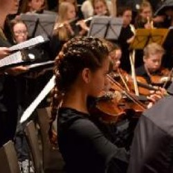 Clases de violín para niños principiantes en Neuquén, Pcia. Neuquén