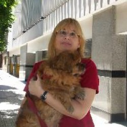 Clases de Programación  en Villa Urquiza, Ciudad A. de Buenos Aires