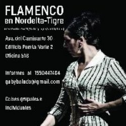 Flamenco en nordelta tigre en Zárate, Pcia. Buenos Aires (GBA Norte)