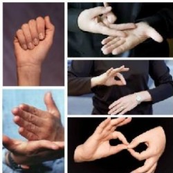 LENGUA DE SEÑAS ARGENTINA APOYO ESCOLAR en Pcia. Buenos Aires (GBA Sur)